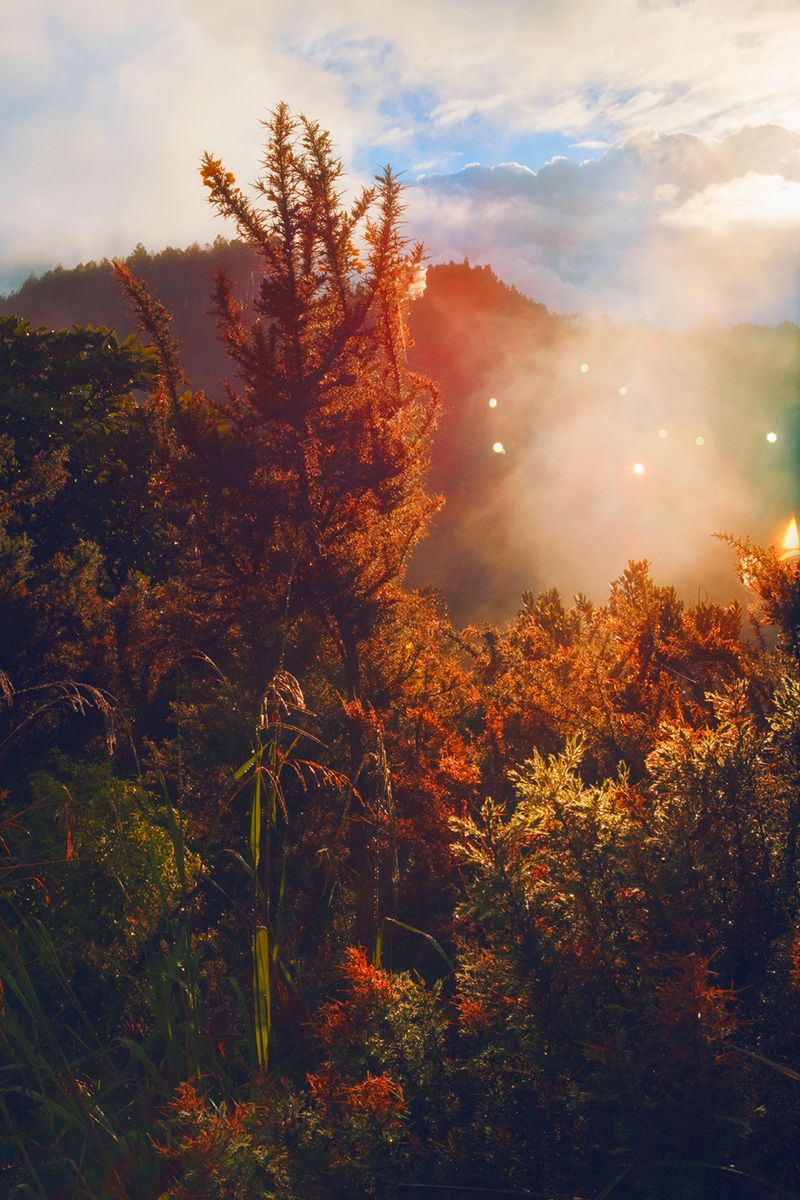 © Stephanie O'Connor - Image from the All stars stand close in summer air photography project