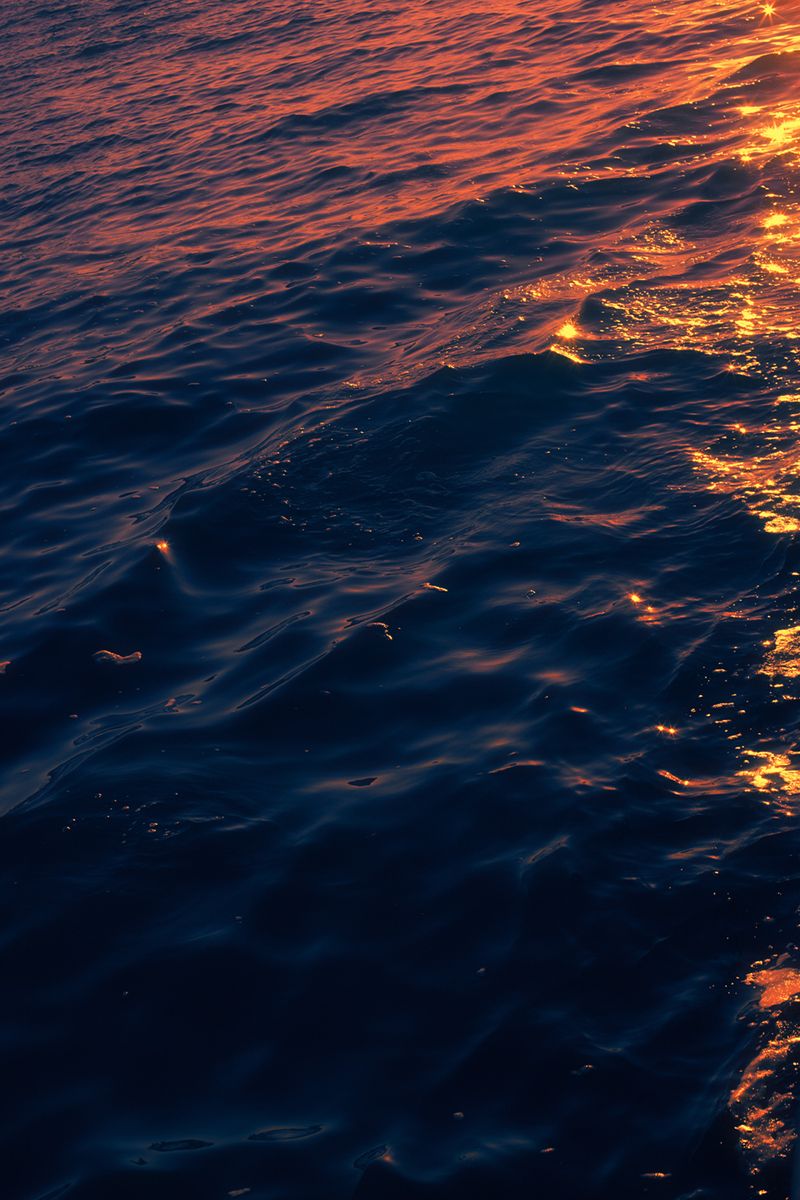 © Stephanie O'Connor - Image from the All stars stand close in summer air photography project