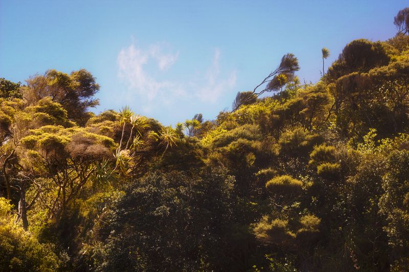 © Stephanie O'Connor - Image from the All stars stand close in summer air photography project