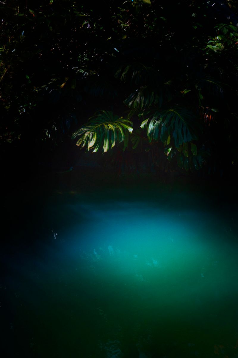 © Stephanie O'Connor - Image from the Never tire of looking at the stars photography project