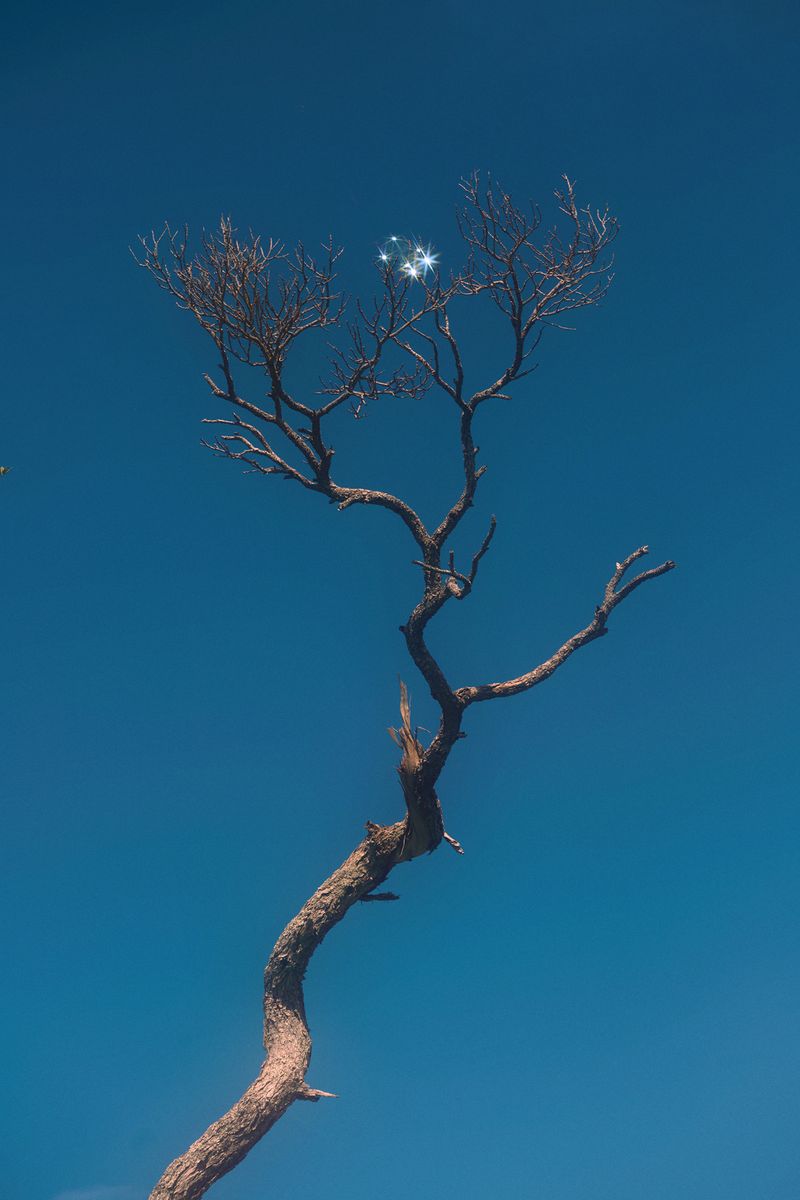 © Stephanie O'Connor - Image from the Never tire of looking at the stars photography project