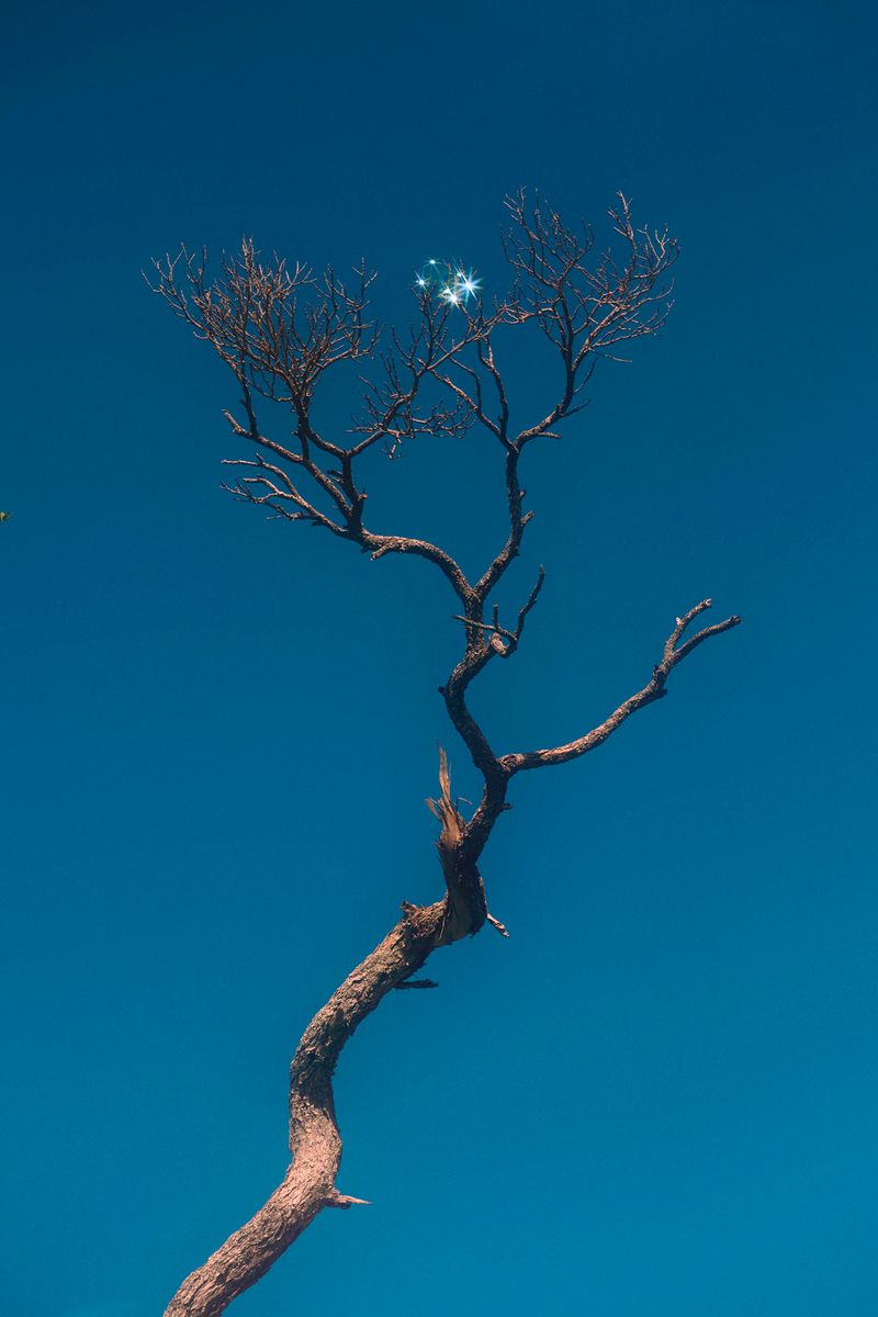 © Stephanie O'Connor - Image from the Never tire of looking at the stars photography project