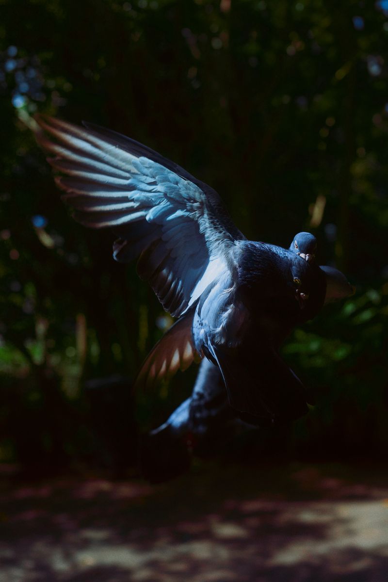 © Stephanie O'Connor - Image from the Never tire of looking at the stars photography project