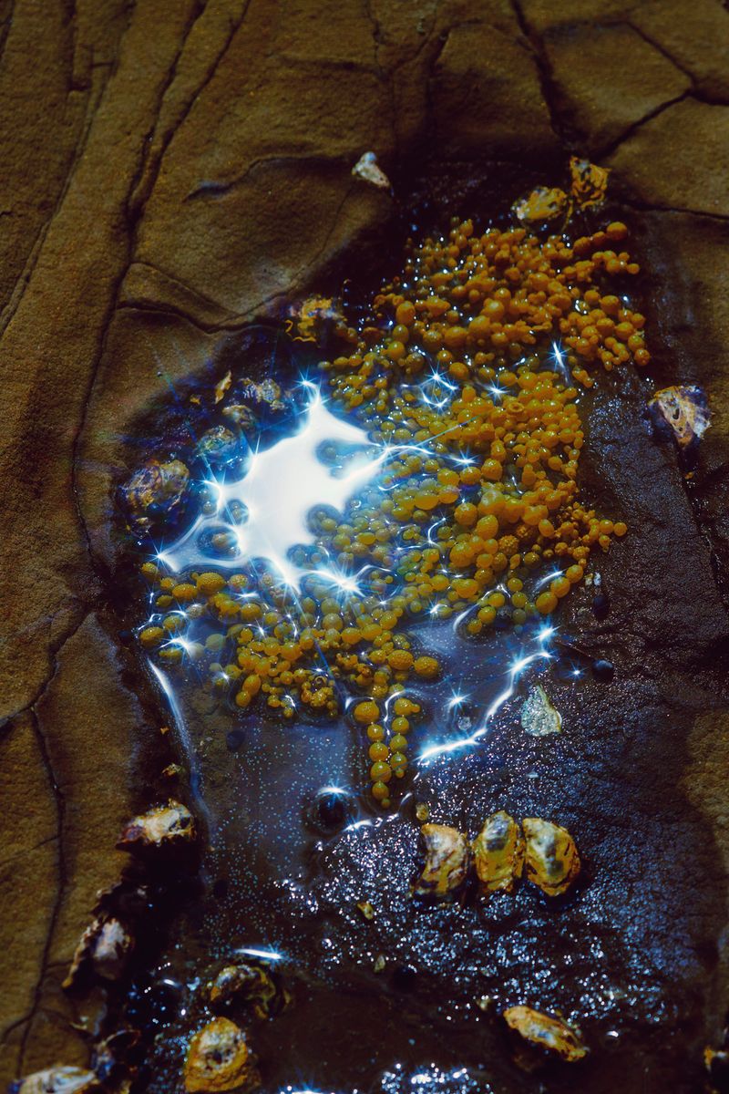 © Stephanie O'Connor - Image from the Never tire of looking at the stars photography project