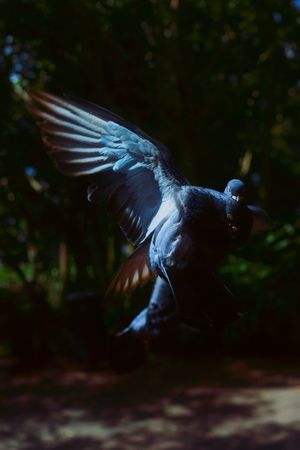 Never tire of looking at the stars