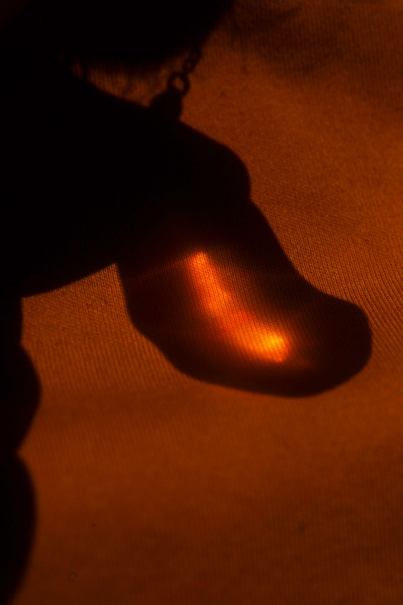 © Stephanie O'Connor - Image from the Under the weight of flowers photography project