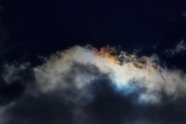 © Stephanie O'Connor - Image from the Under the weight of flowers photography project