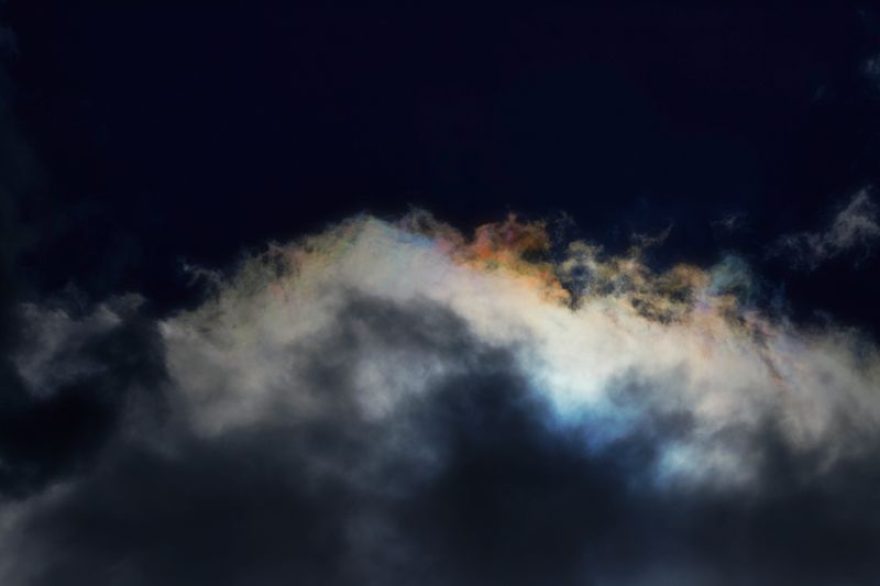 © Stephanie O'Connor - Image from the Under the weight of flowers photography project