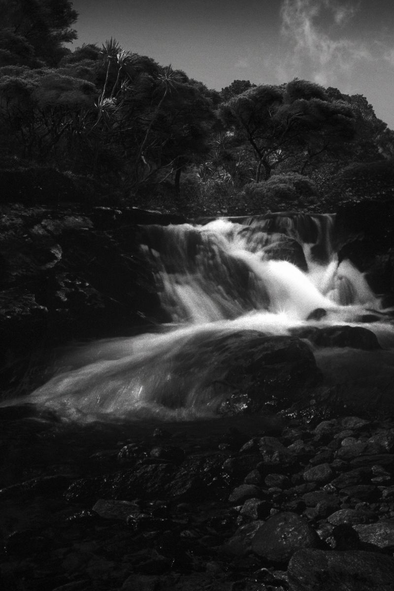 © Stephanie O'Connor - Image from the The waves came in like horses photography project