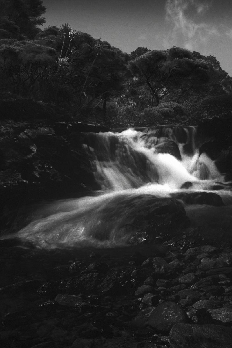 © Stephanie O'Connor - Image from the The waves came in like horses photography project