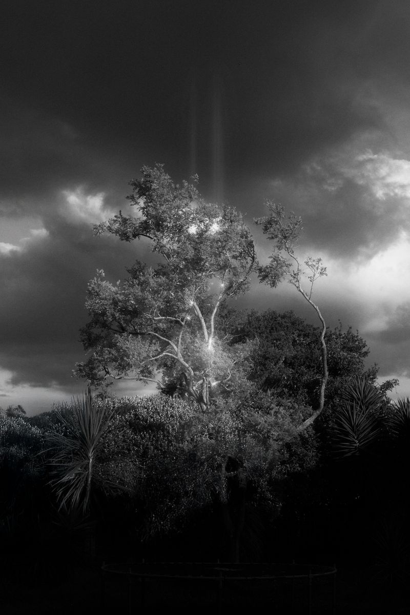 © Stephanie O'Connor - Image from the The waves came in like horses photography project