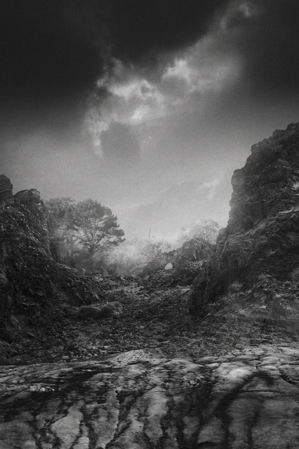 © Stephanie O'Connor - Image from the The waves came in like horses photography project