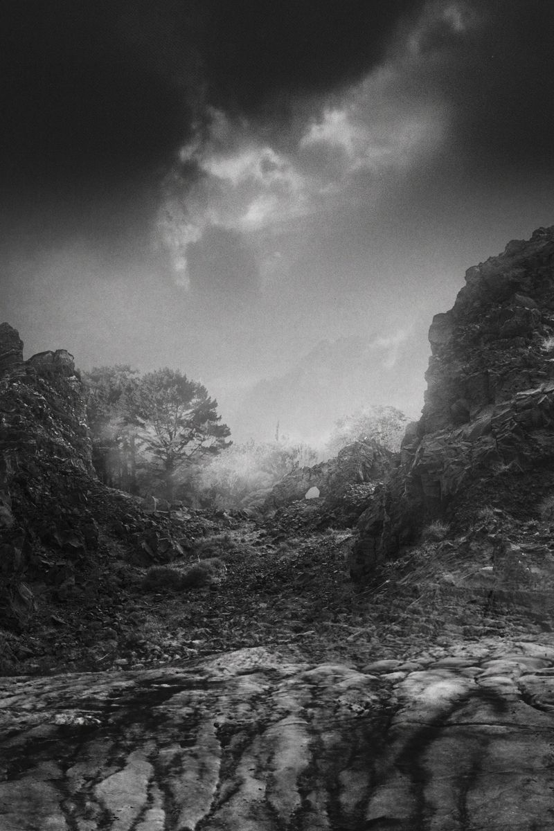 © Stephanie O'Connor - Image from the The waves came in like horses photography project