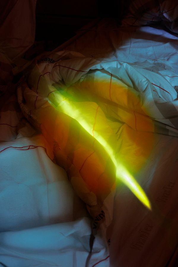 © Stephanie O'Connor - Image from the Yellow rattle photography project