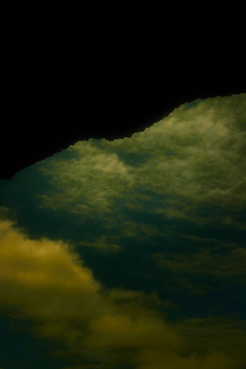 © Stephanie O'Connor - Image from the Yellow rattle photography project