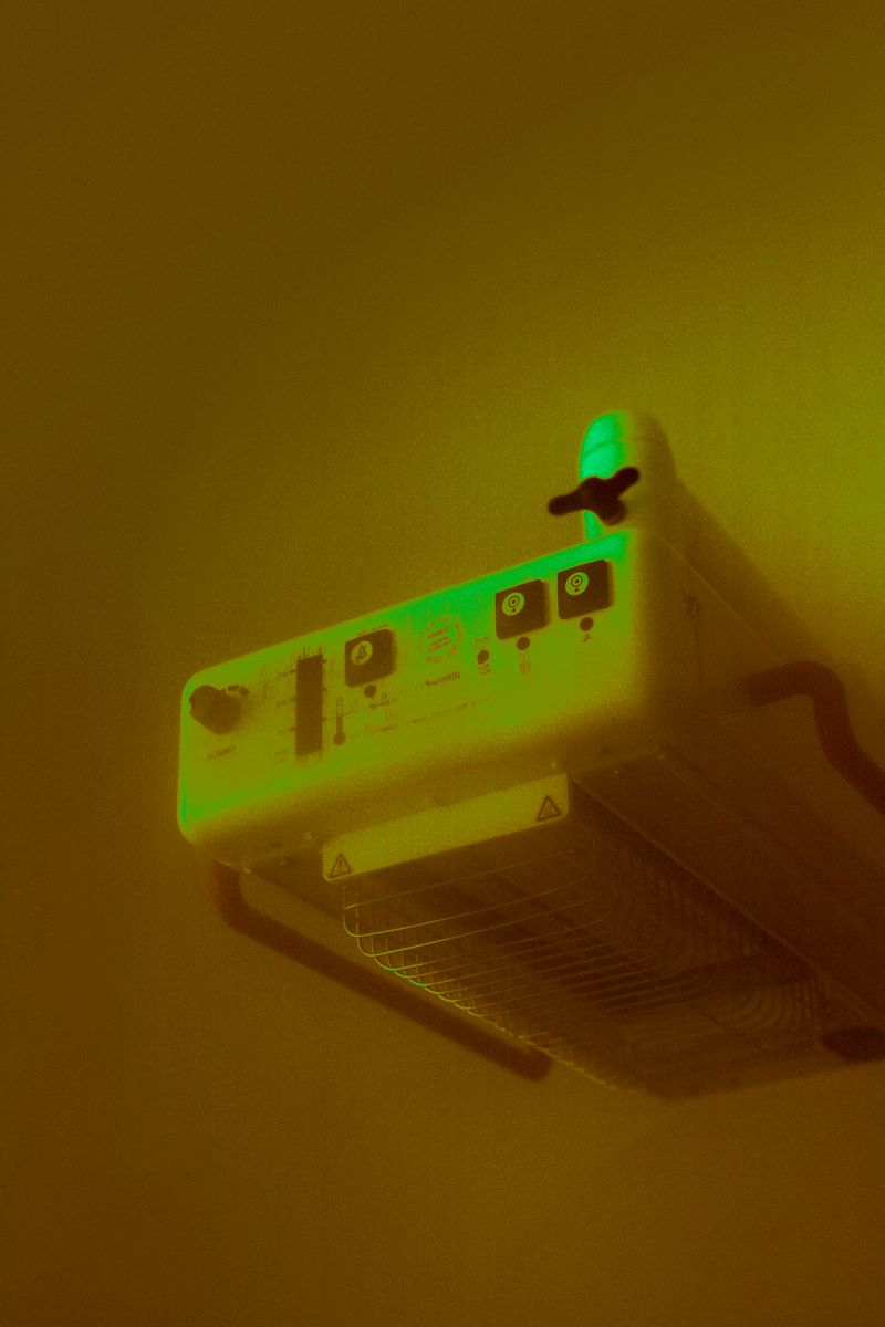 © Stephanie O'Connor - Image from the Yellow rattle photography project