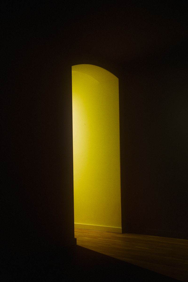 © Stephanie O'Connor - Image from the Yellow rattle photography project