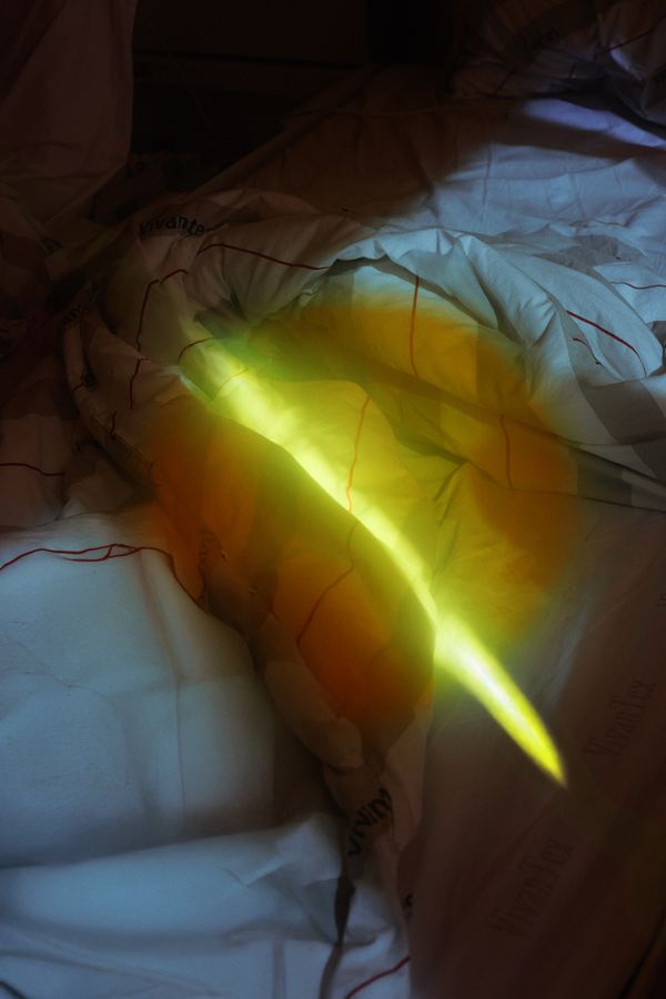© Stephanie O'Connor - Image from the Yellow rattle photography project