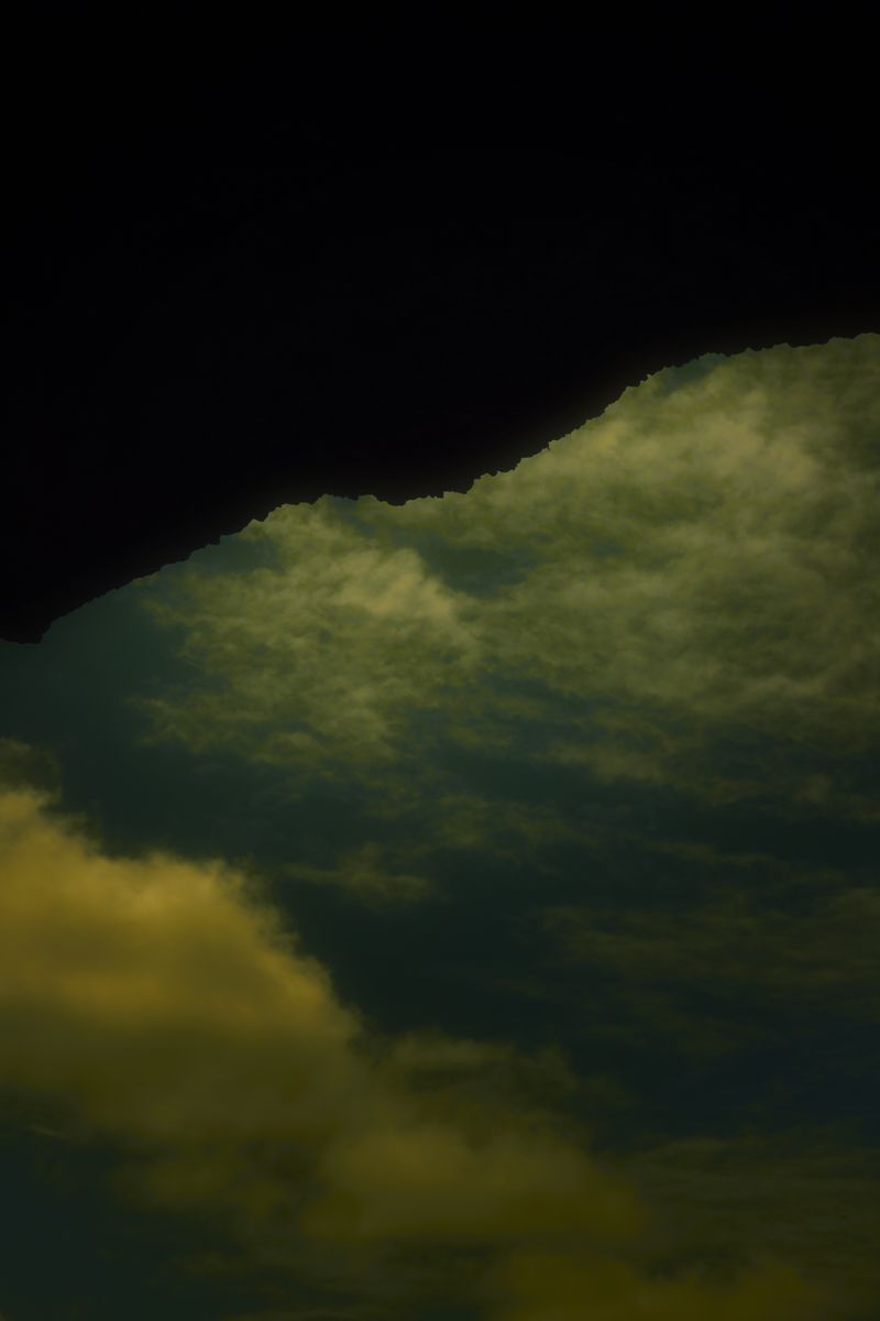© Stephanie O'Connor - Image from the Yellow rattle photography project