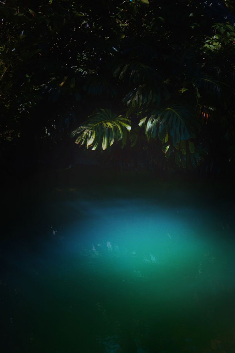 © Stephanie O'Connor - Image from the Never tire of looking at the stars photography project
