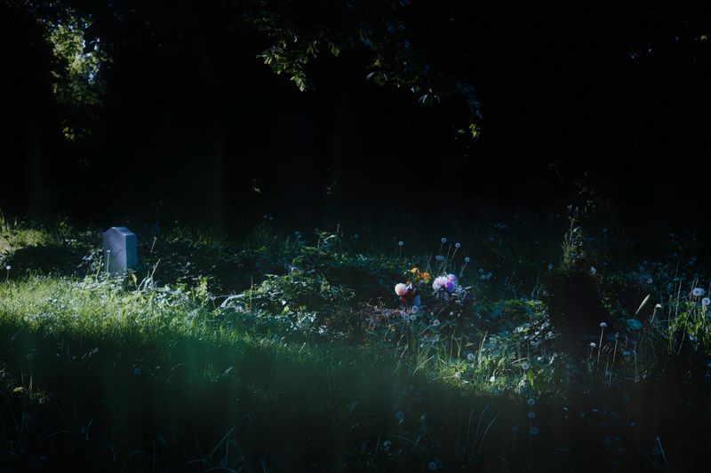 © Stephanie O'Connor - Image from the Never tire of looking at the stars photography project