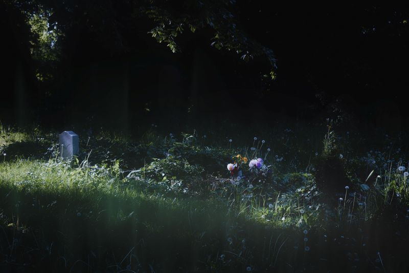 © Stephanie O'Connor - Image from the Never tire of looking at the stars photography project