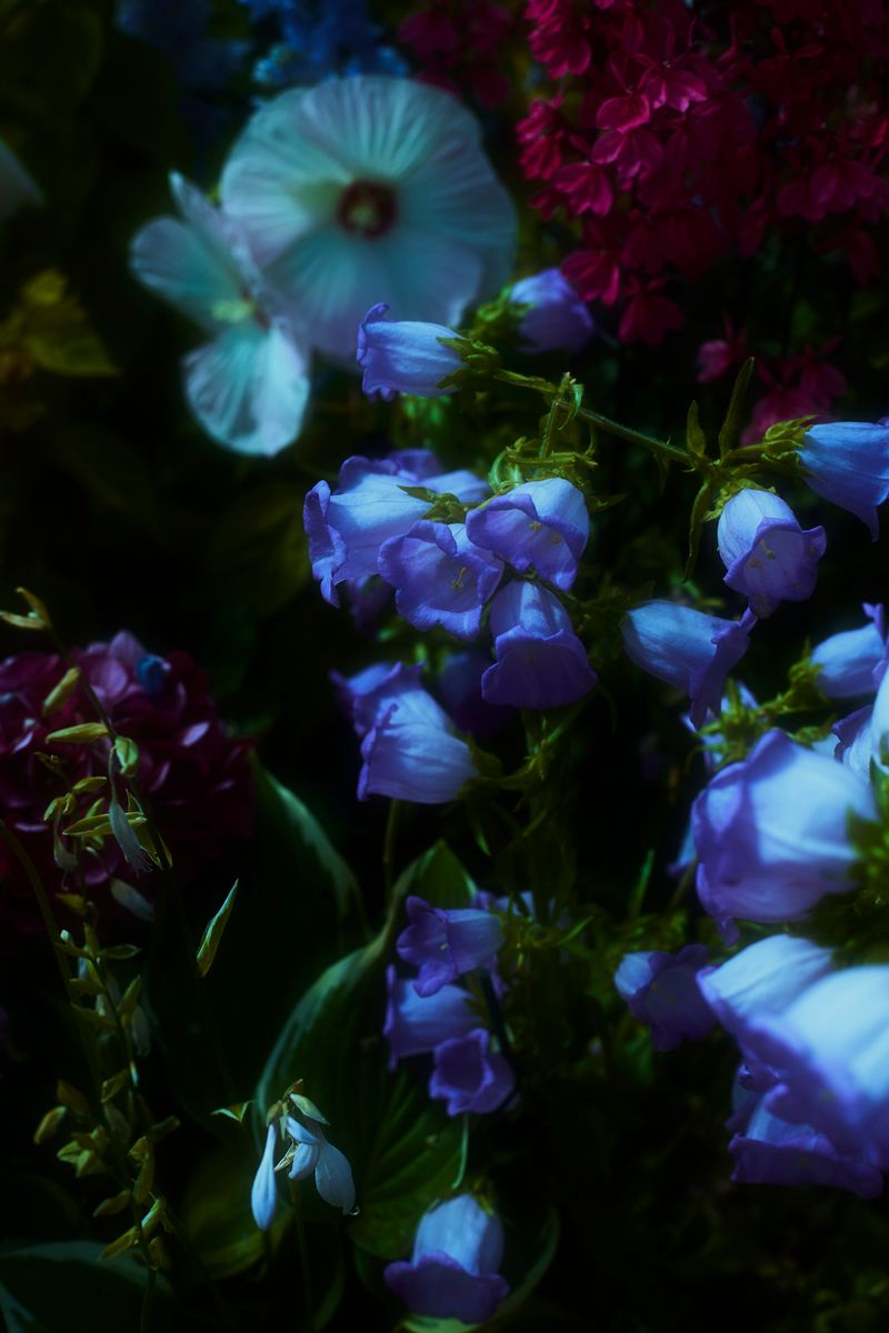 © Stephanie O'Connor - Image from the Never tire of looking at the stars photography project