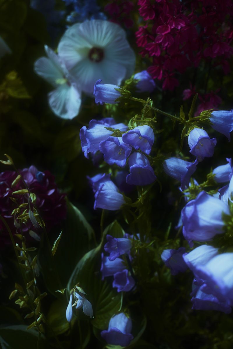 © Stephanie O'Connor - Image from the Never tire of looking at the stars photography project
