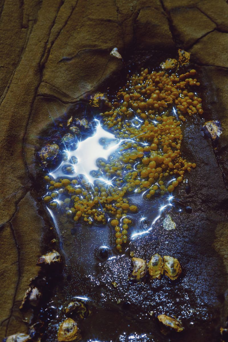 © Stephanie O'Connor - Image from the Never tire of looking at the stars photography project