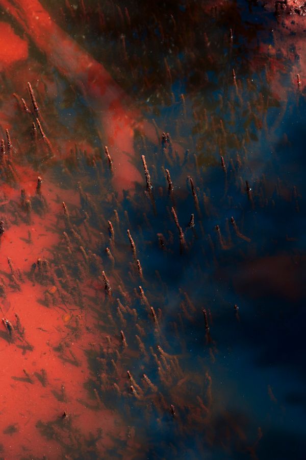 © Stephanie O'Connor - Image from the Never tire of looking at the stars photography project