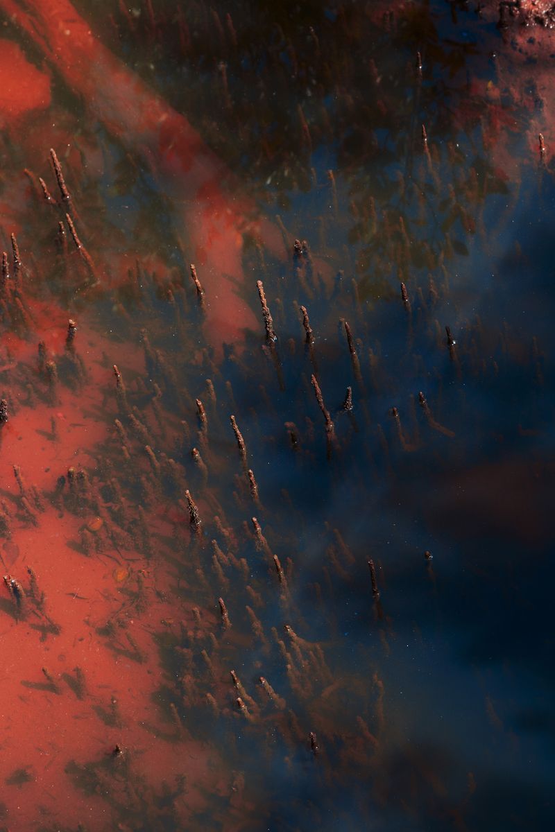 © Stephanie O'Connor - Image from the Never tire of looking at the stars photography project