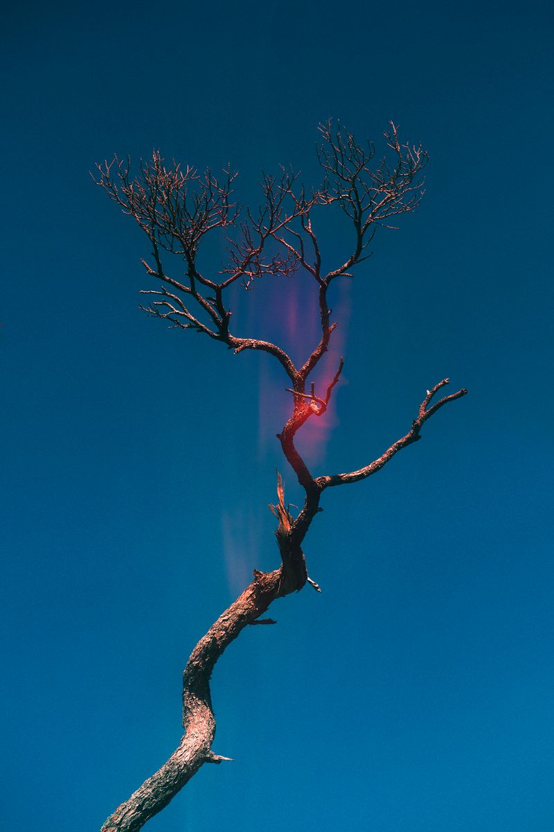 © Stephanie O'Connor - Image from the Never tire of looking at the stars photography project