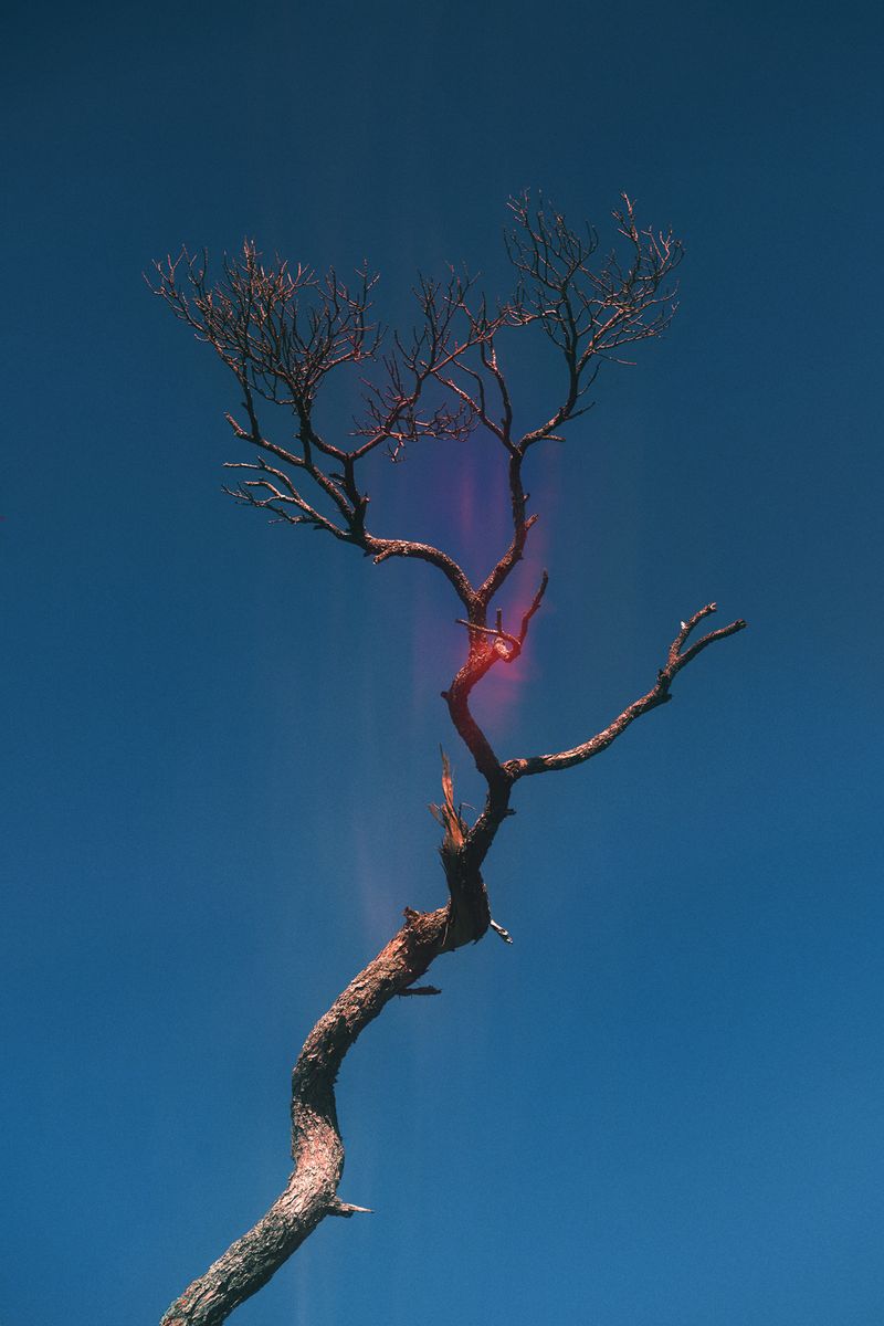 © Stephanie O'Connor - Image from the Never tire of looking at the stars photography project
