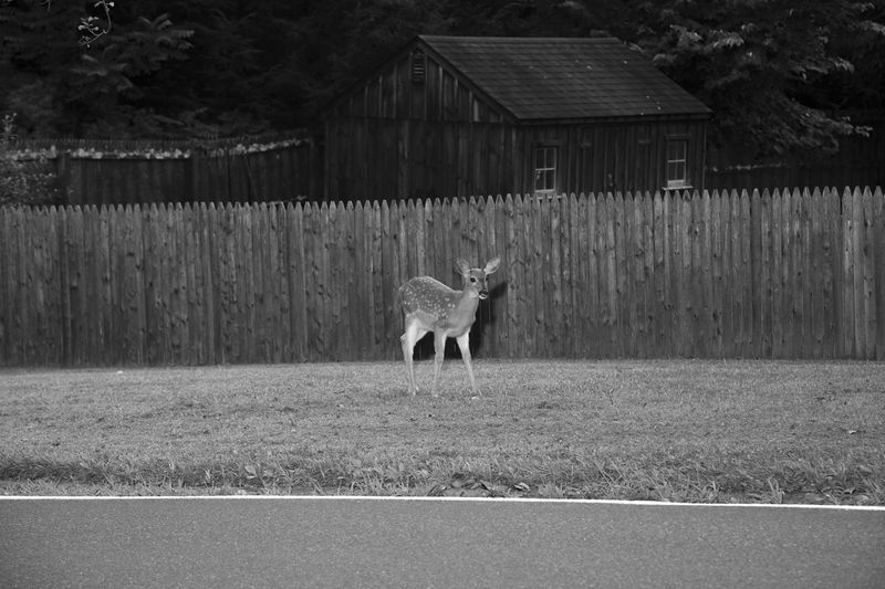 © Patricia Voulgaris - Image from the When The Sun Hits photography project