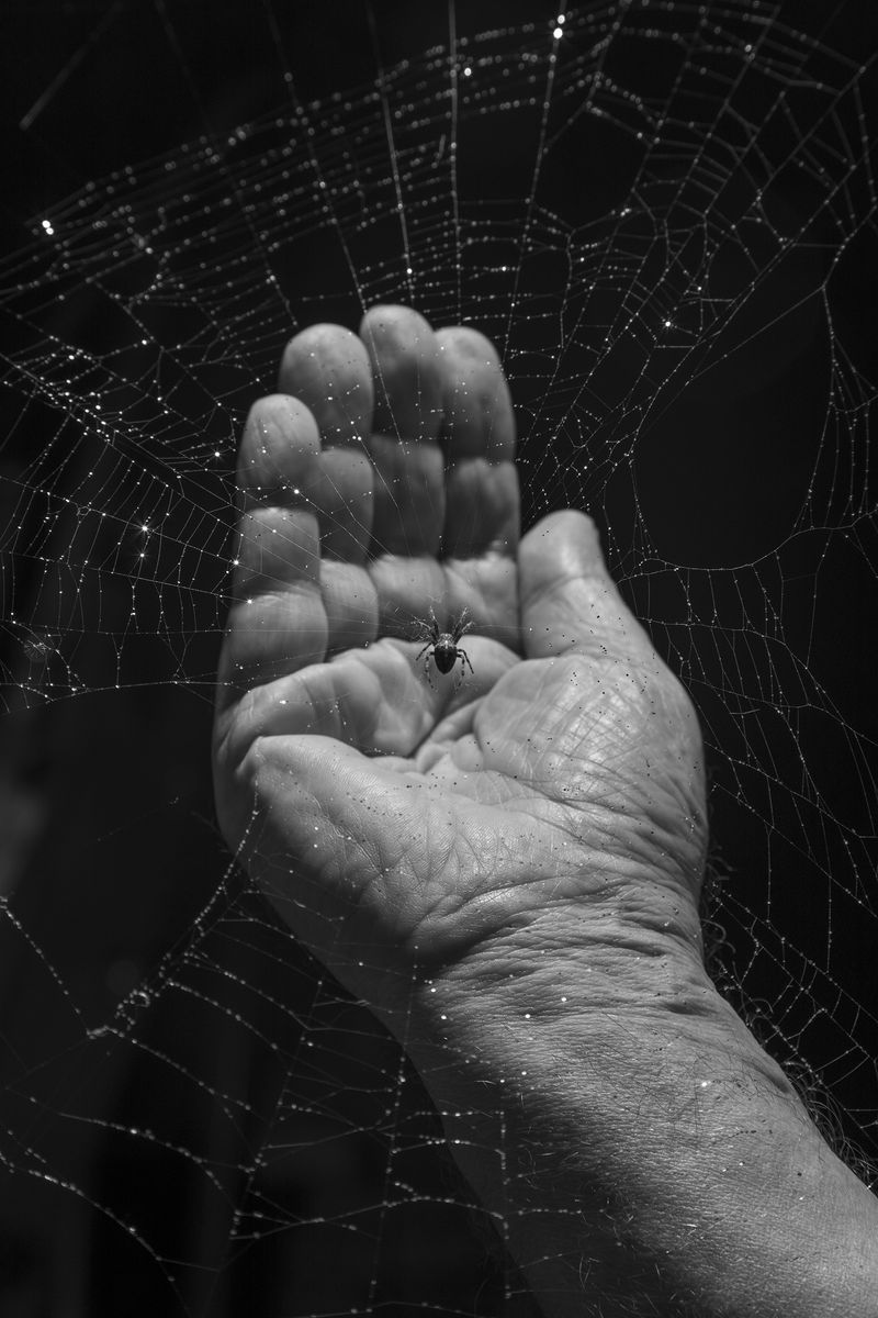 © Patricia Voulgaris - Image from the When The Sun Hits photography project