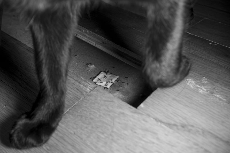 © Patricia Voulgaris - Image from the When The Sun Hits photography project