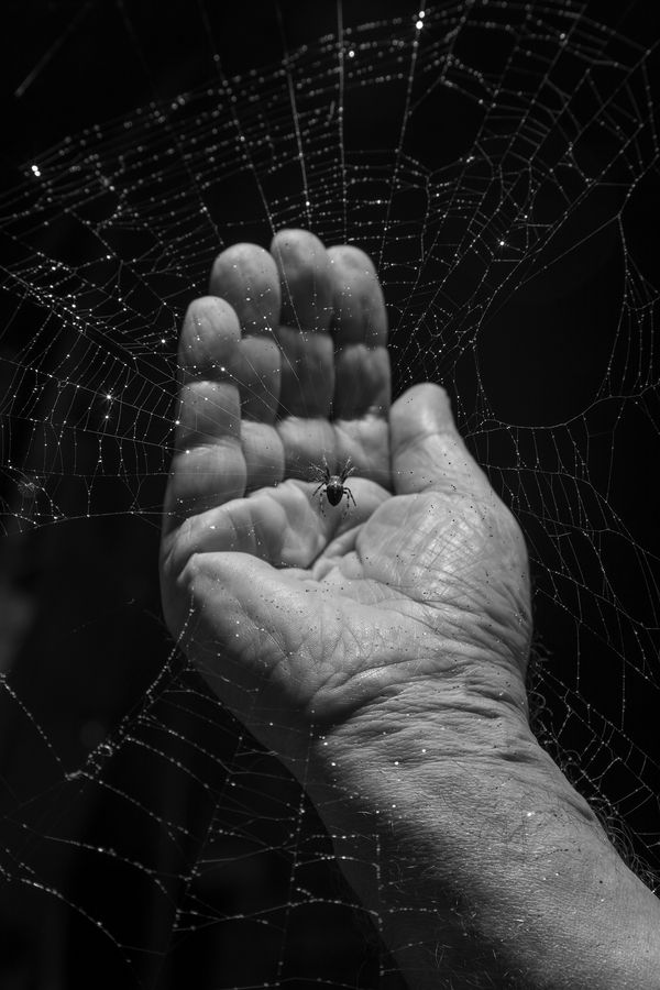 © Patricia Voulgaris - Image from the When The Sun Hits photography project