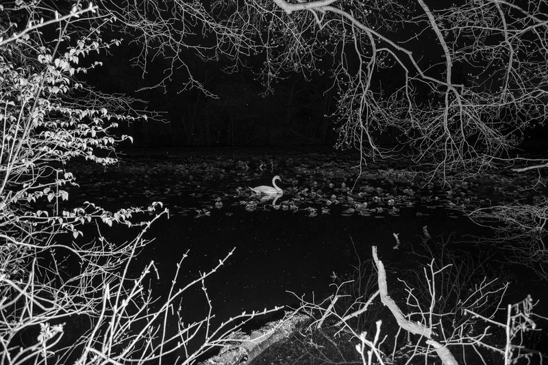 © Patricia Voulgaris - Image from the When The Sun Hits photography project