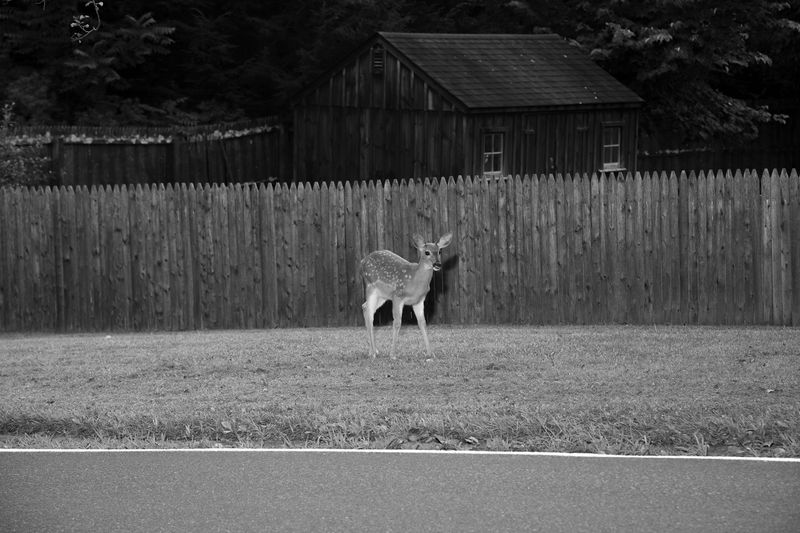 © Patricia Voulgaris - Image from the When The Sun Hits photography project