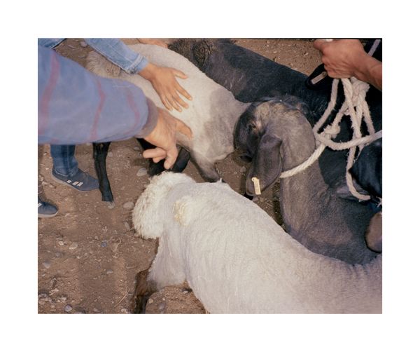 © Guoman Liao - Image from the ___Protagonist photography project