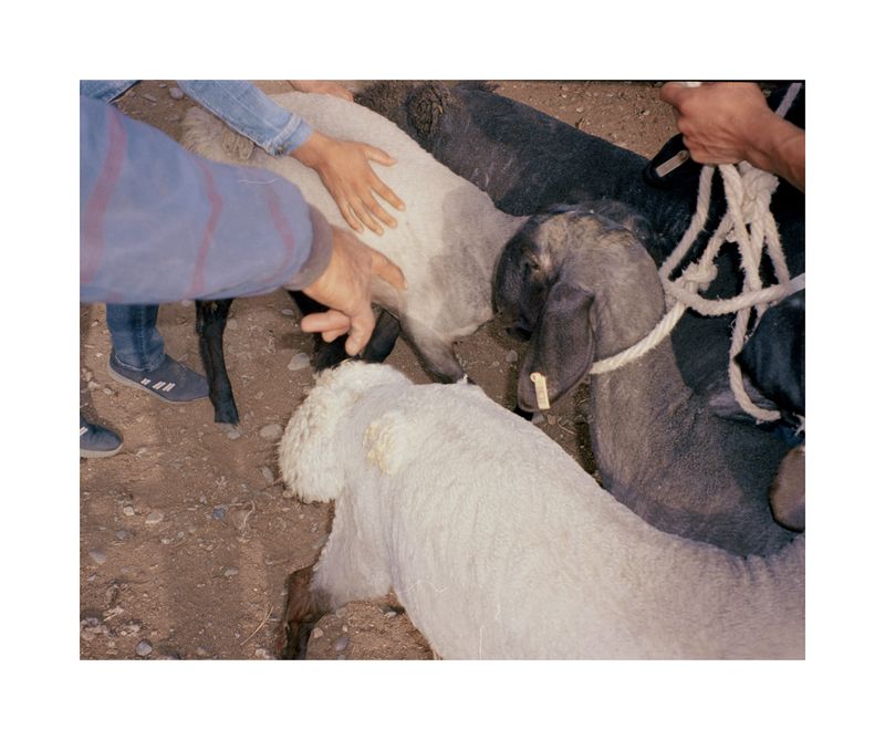 © Guoman Liao - Image from the ___Protagonist photography project