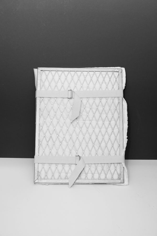 © Liz Orton - Image from the Herbarium of Extinction photography project