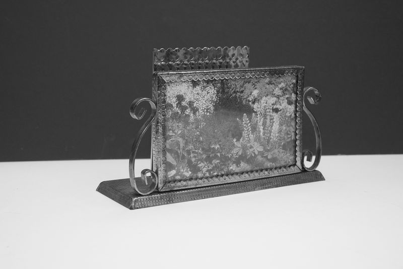 © Liz Orton - Image from the Herbarium of Extinction photography project