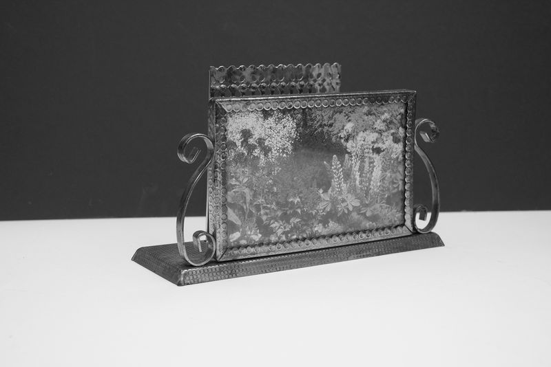 © Liz Orton - Image from the Herbarium of Extinction photography project