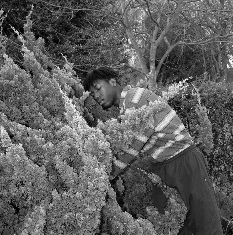 © Liz Orton - Image from the Herbarium of Extinction photography project