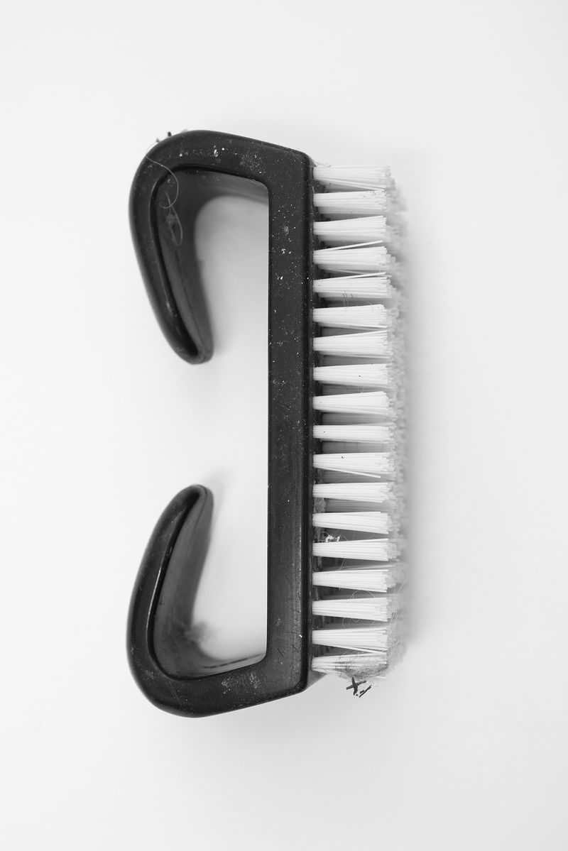 © Liz Orton - Image from the Herbarium of Extinction photography project