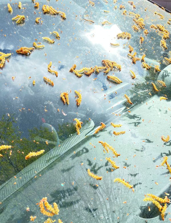 © Ans Brys - Image from the I'm Hungry photography project