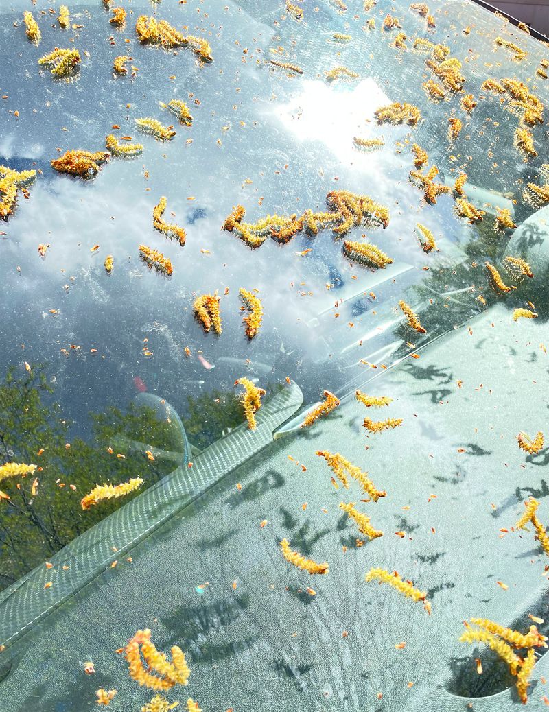 © Ans Brys - Image from the I'm Hungry photography project