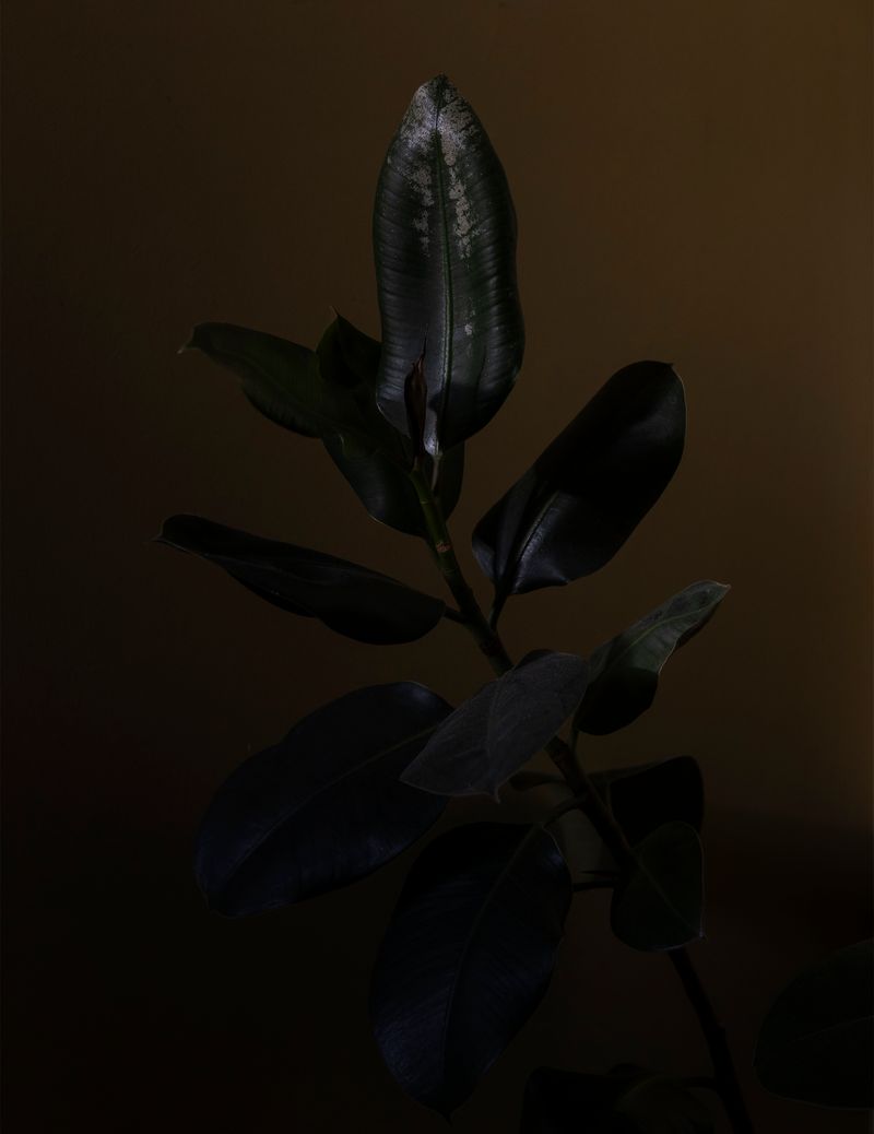 © Ans Brys - Image from the I'm Hungry photography project