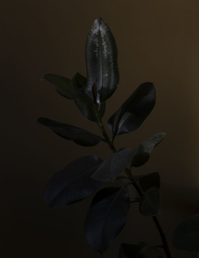 © Ans Brys - Image from the I'm Hungry photography project
